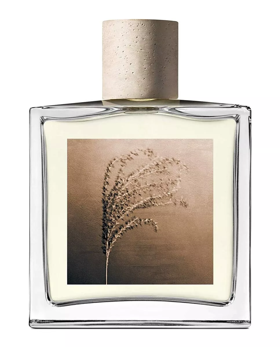 AllSaints - Eau De Parfum Leather Skies 100 Ml con descuento