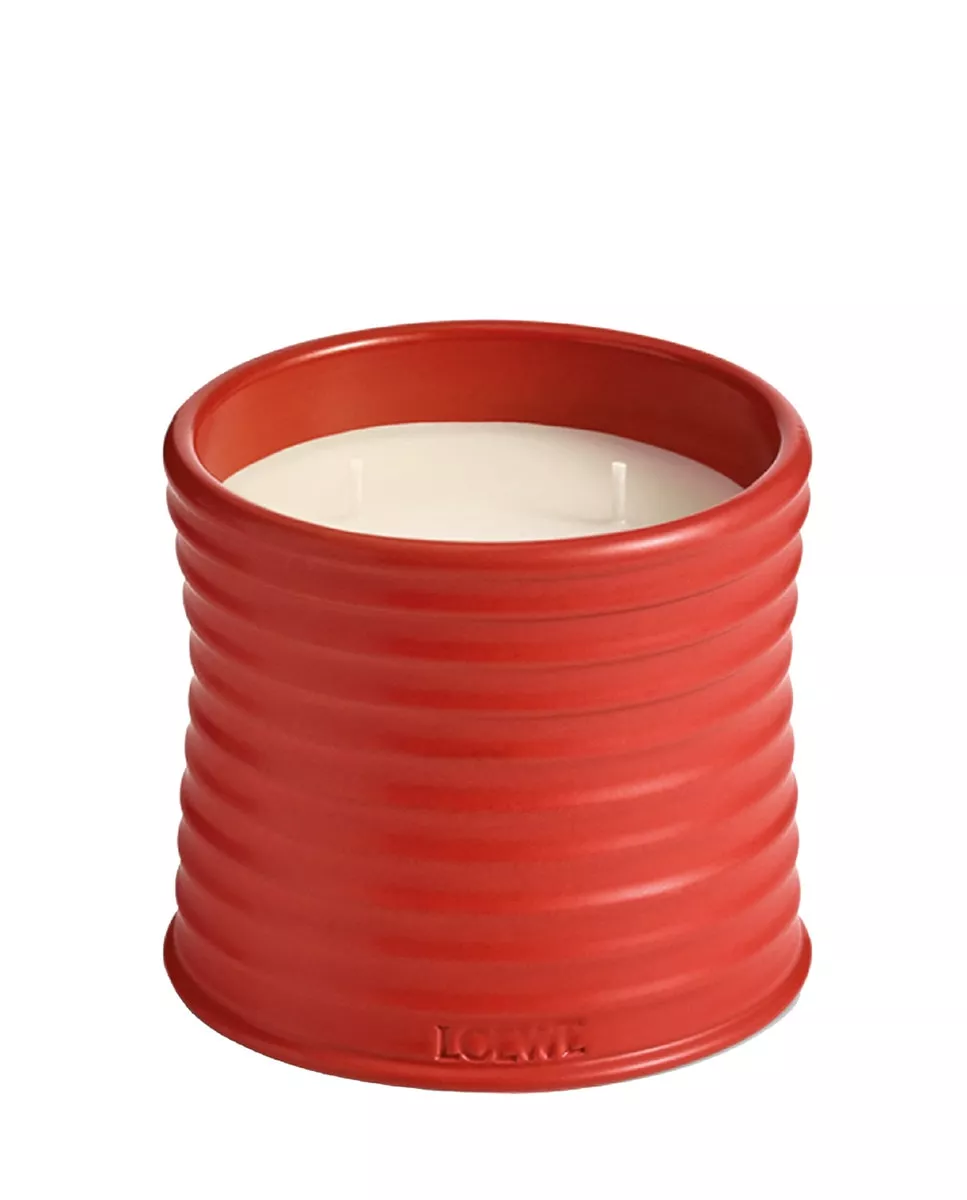 Loewe - Vela Aromática Home Scents Tomato Leaves M En Oferta Loewe - Vela Aromática Home Scents Tomato Leaves M Con Descuento