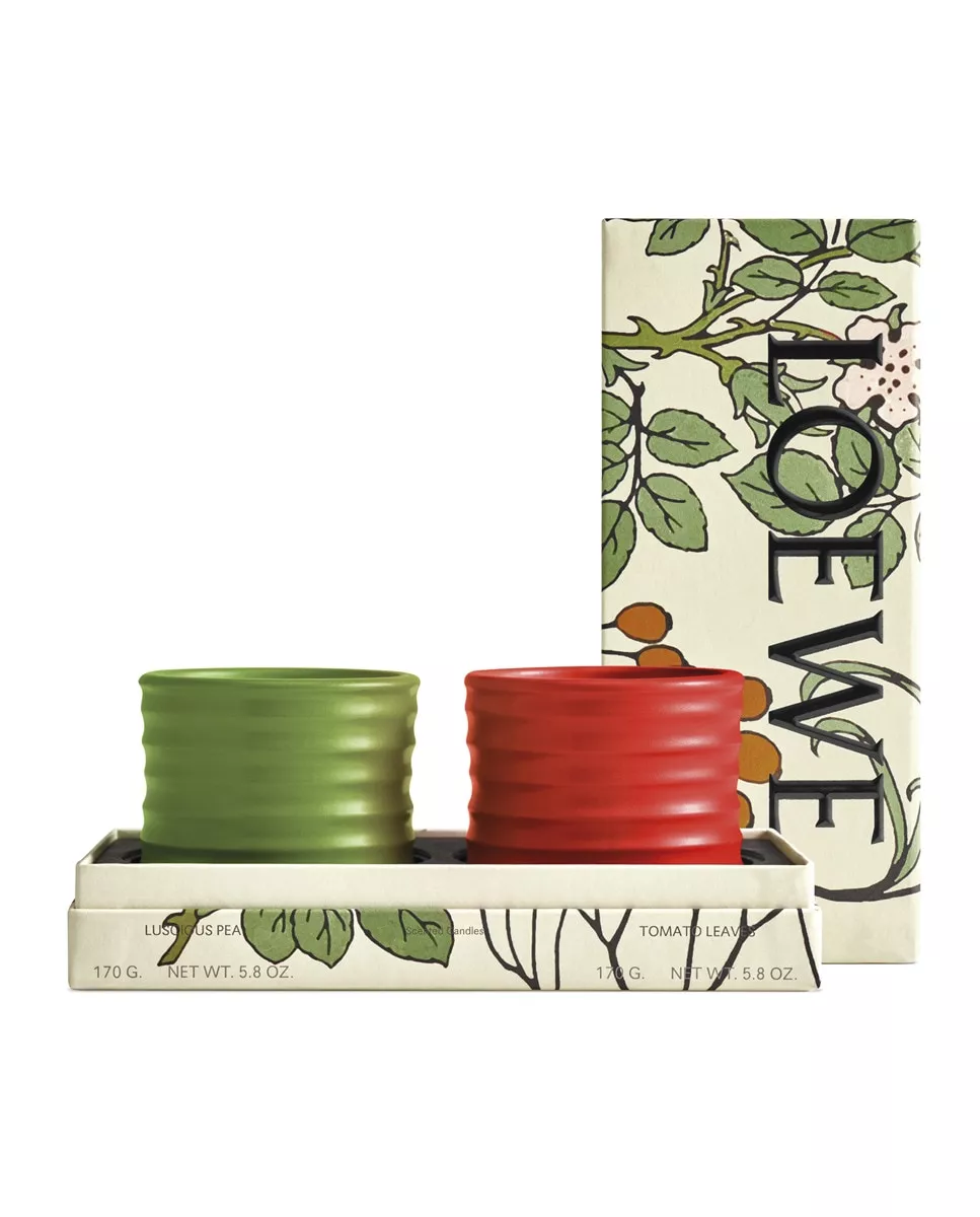 Loewe - Estuche De Regalo Velas Con Notas Verdes Home Scents con descuento